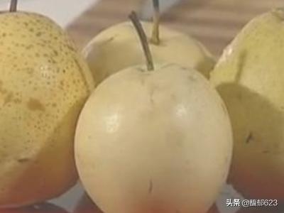水果罐头-水果罐头的制作方法