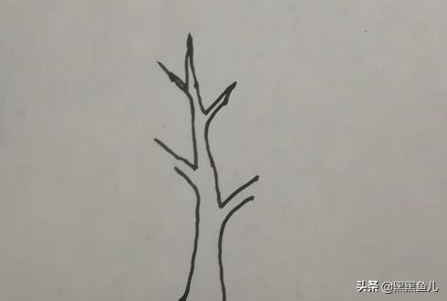 花卉图片手绘简笔画 绿化大树-花卉图片手绘简笔画 绿化大树图