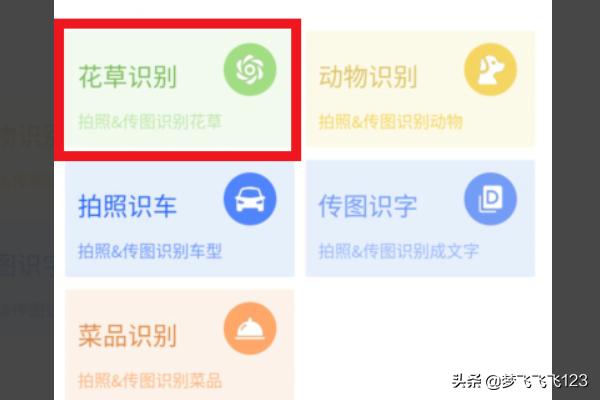 在线拍照识别花卉?在线拍照识别花卉的软件!