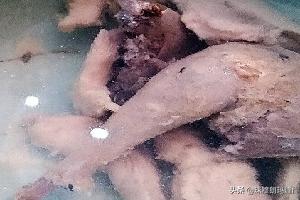在家里做家常菜做法大全(图4)