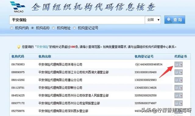 跨境电商企业代码是多少