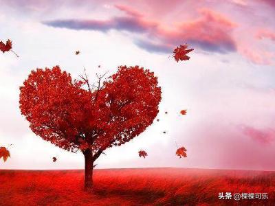 妻管严攻略对不上 妻管严攻略 良治  第2张