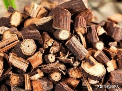 何首乌的种植方法，何首乌的种植方法和时间怎样管理