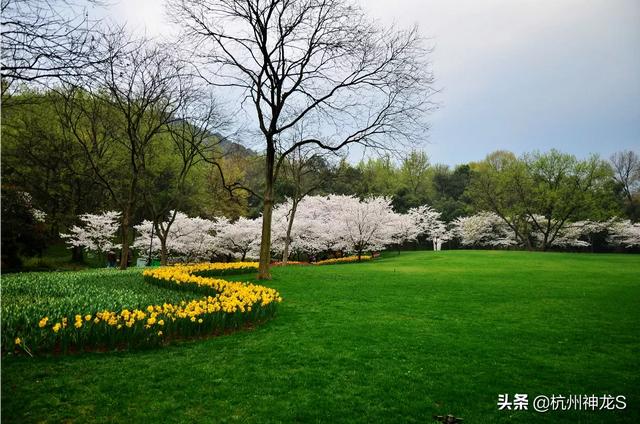 杭州西湖旅游团一日游-杭州西湖旅游团一日游价格