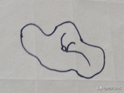 荷花的照片荷花的照片真实图片