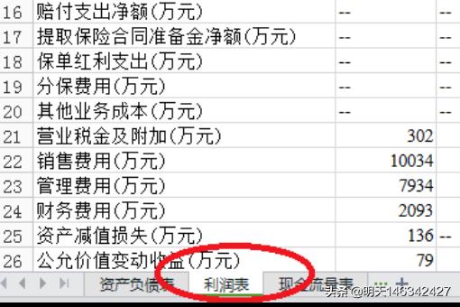 财务报表利润表分析，财务报表利润表分析模板