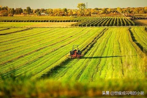 园林草地定级和基准地价