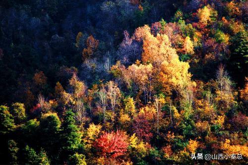 威海越野自驾游路线，威海越野自驾游路线图