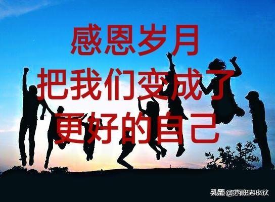找狗?找狗最有效的方法!