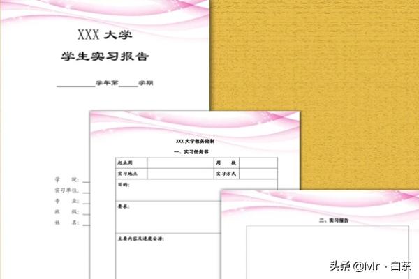 大学生调查报告模板及范文,大学生调查报告模板及范文3000字