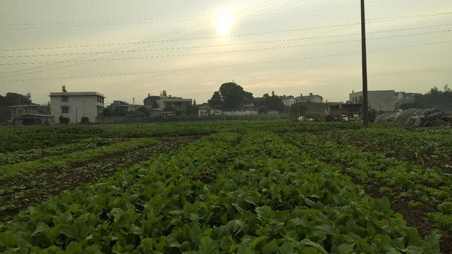 杨柳到泾阳地铁路线，到杨柳怎么走