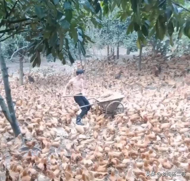 天津卖肉怎么样挣钱