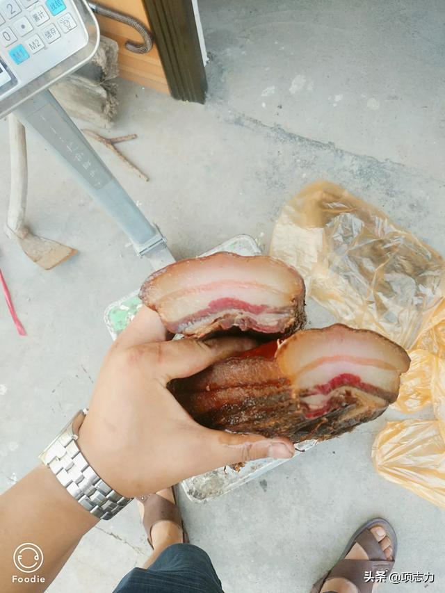 家庭养殖 （家庭养殖好项目有哪些）
