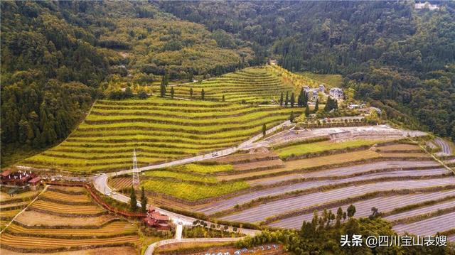 中式农庄庭院别墅,中式农庄庭院别墅图片