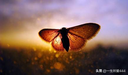 重生破茧成蝶txt_重生破茧成蝶 第4章