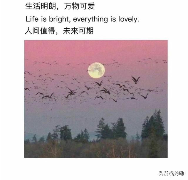 如何恢复最近删除的视频内容