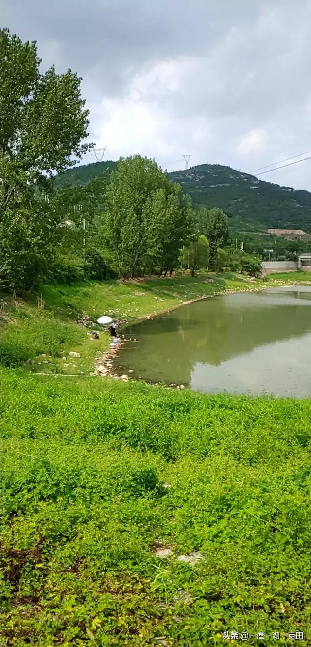 济南市区哪里钓鱼能吃