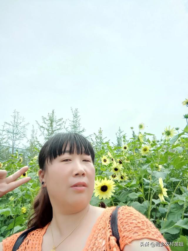 河南水稻一年几熟？