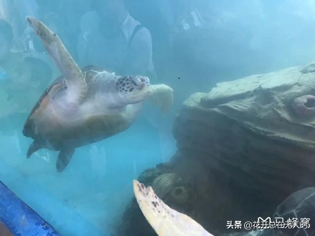 广东省范围内一日游去哪里最好玩，最省钱