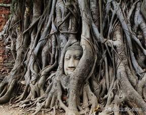 泰国几大必去景点有哪些(图5)