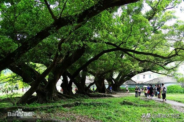 宁德漂流十大排行榜？：宁德景点有哪些地方