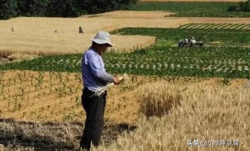 湖南现代投资-湖南现代投资集团有限公司