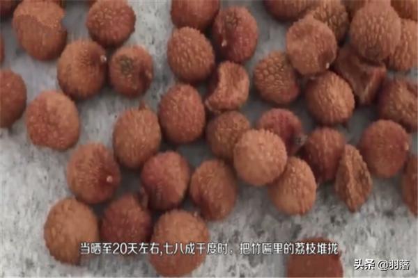 荔枝干-荔枝干的功效与作用