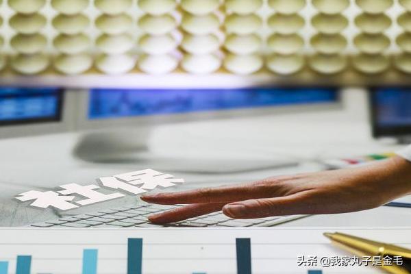 个人养老金保险，个人养老金保险是怎么回事