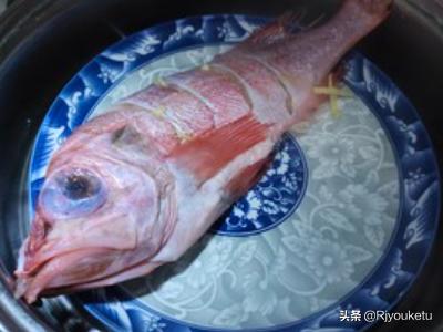 红斑鱼怎么做好吃？(红斑鱼怎么做才好吃)