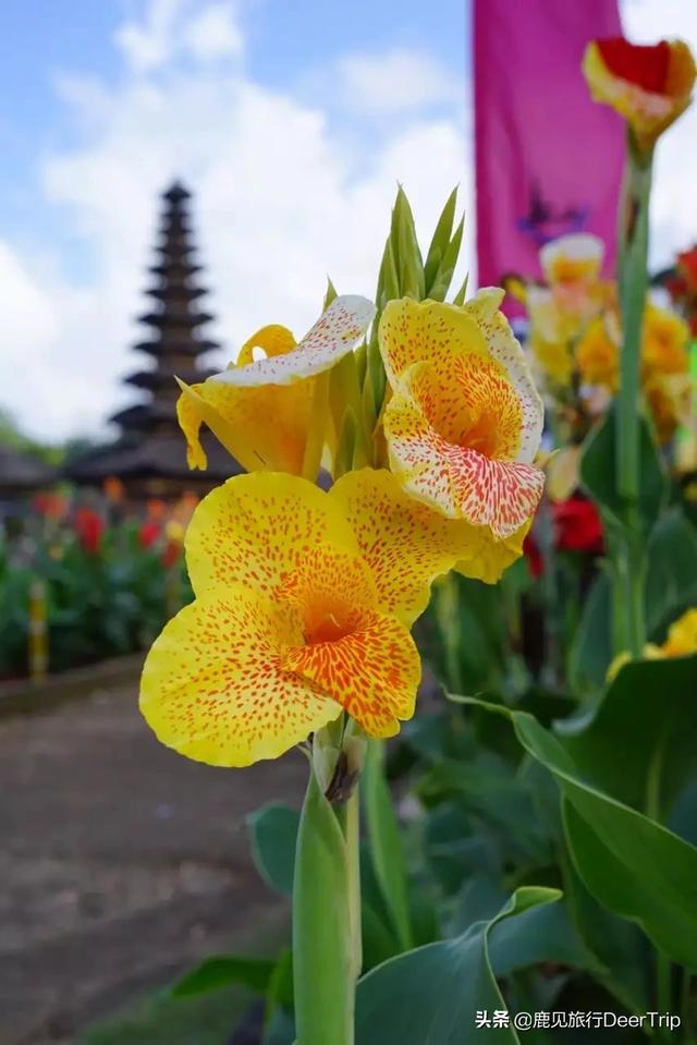 国外最美海边旅游景点 多少钱一张票,国外最美海边旅游景点 多少钱一张票啊