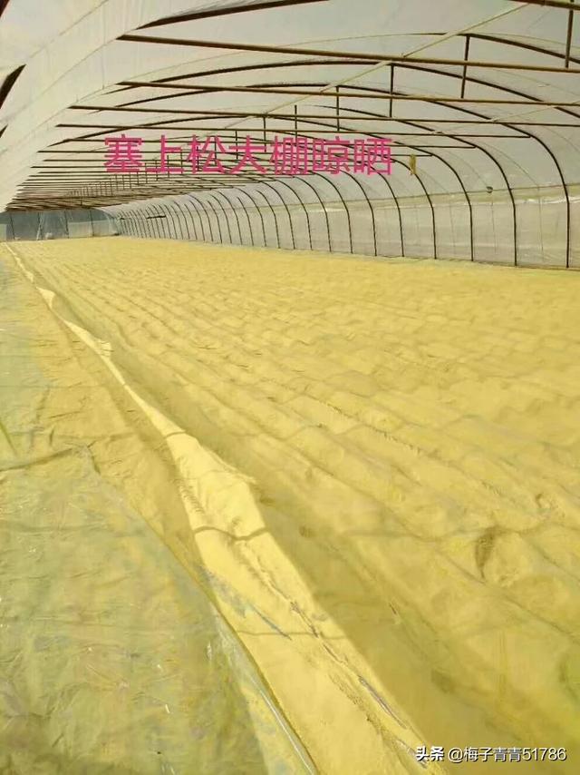 初三学习励志语录_初三励志语录唯美与段