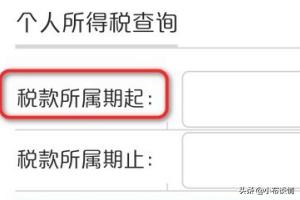 地方税务局网站助力个人纳税，让你轻松缴税无烦恼，税务局怎么交个人所得税