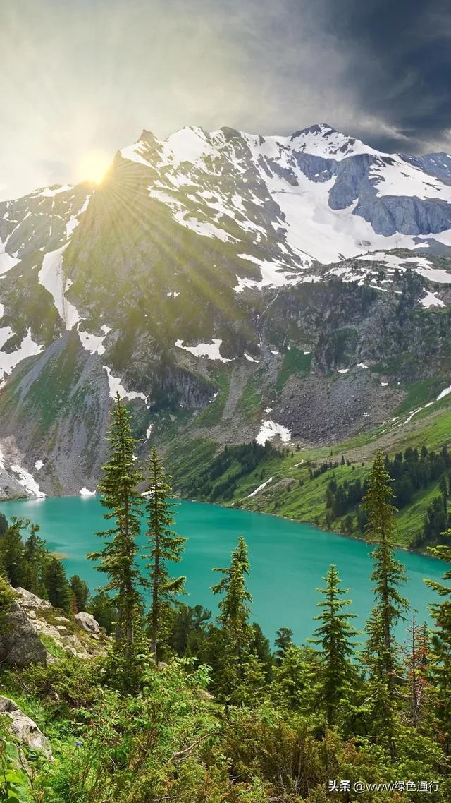 离别的诗句和优美句子（高情商的告别句子）