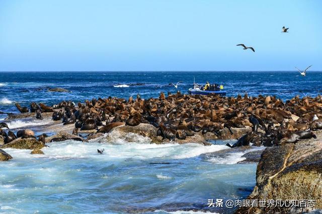 开普敦桌山景点门票价格， 开普敦桌山图片