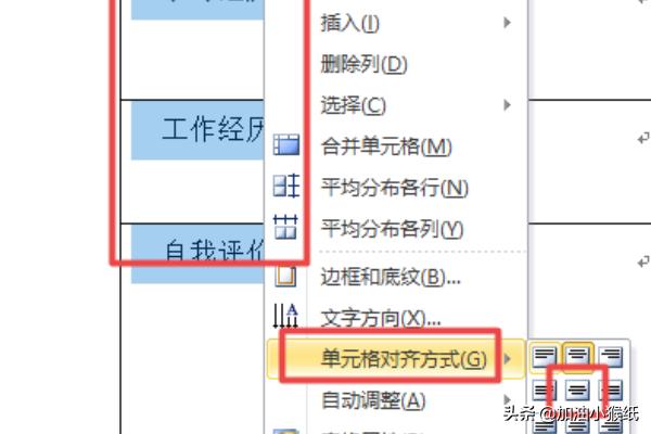 個人簡歷空表格下載-個人簡歷表格空白表電子版