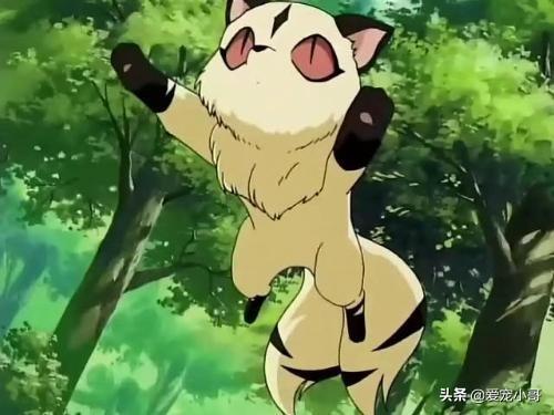 動漫萌寵物?超萌動漫寵物!
