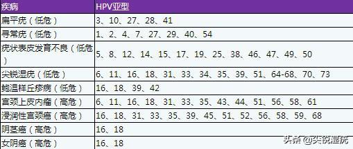 hpv6阳性什么意思