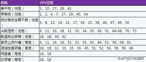 hpv6阳性什么意思