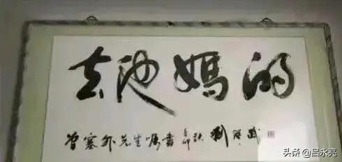 怎么记住书法草书的字体