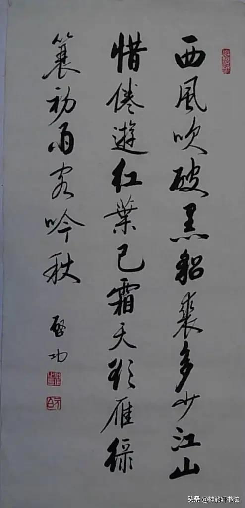 觀心的草书字体