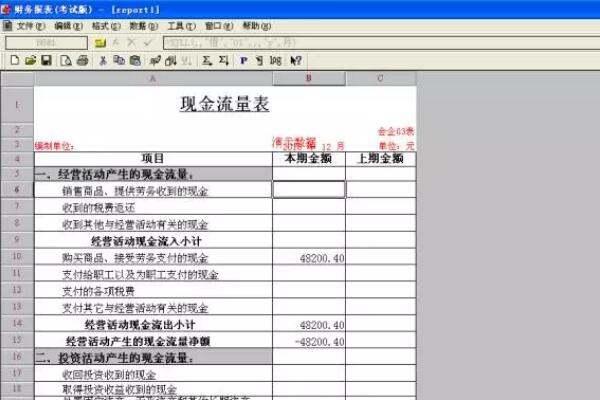 现金流量表表格下载，现金流量表表格下载软件