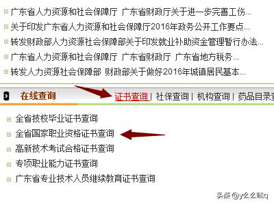 国家职业资格证书网站官网，国家职业资格证书网站官网查询