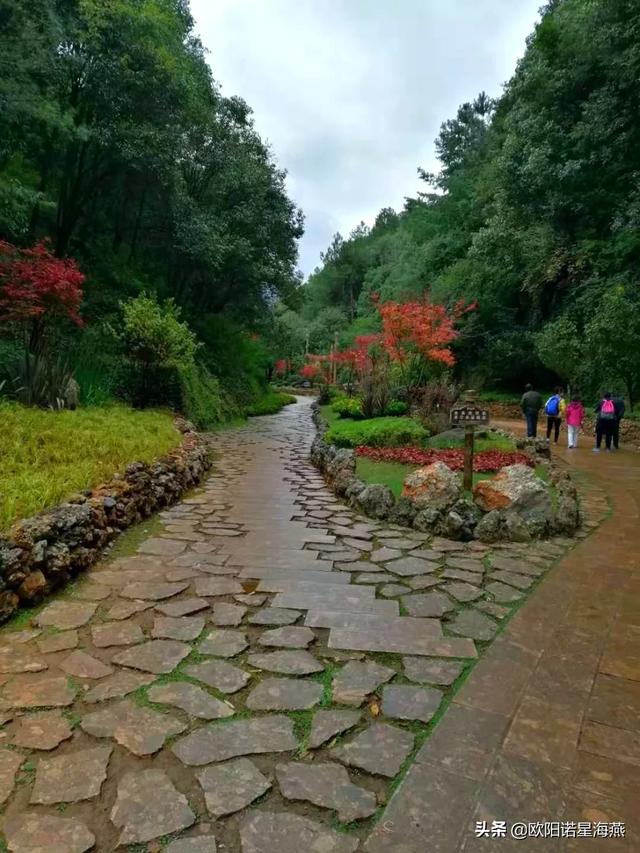 昆明石山旅游攻略路线， 昆明石山旅游攻略路线图