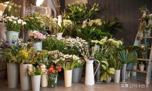 花店物语快速赚钱 花店物语赚钱攻略-第1张图片-春华游戏网