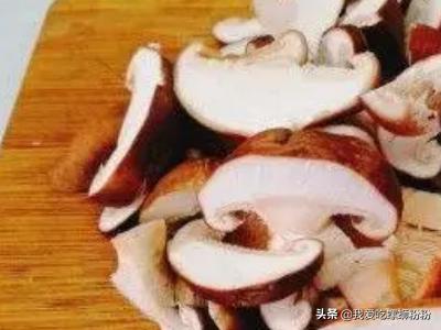 东北家常菜做法凉拌香菇(图3)