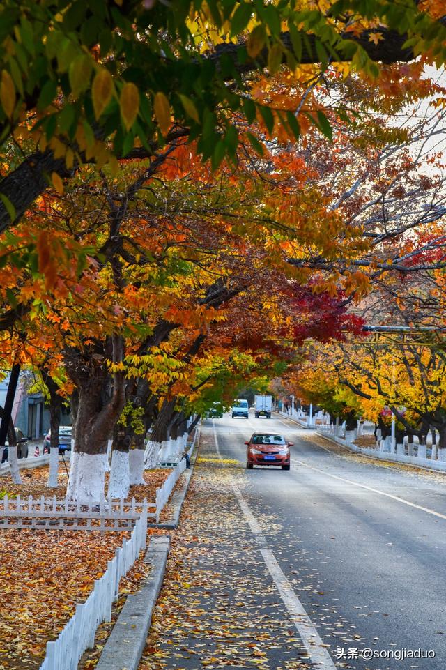 锦州旅游攻略省钱路线， 锦州旅游攻略省钱路线图