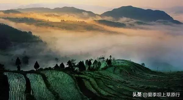 在上海和全家一日旅游适合的景点有哪些