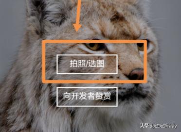 传图识字传图识字免费版