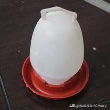 笼养鸡雏饲料配比-笼养鸡雏饲料配比表
