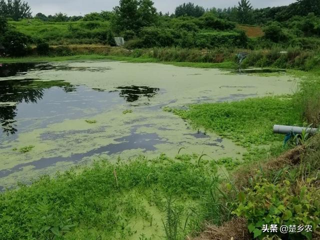 农业水产养殖过剩怎么办，农业水产养殖过剩怎么办呢